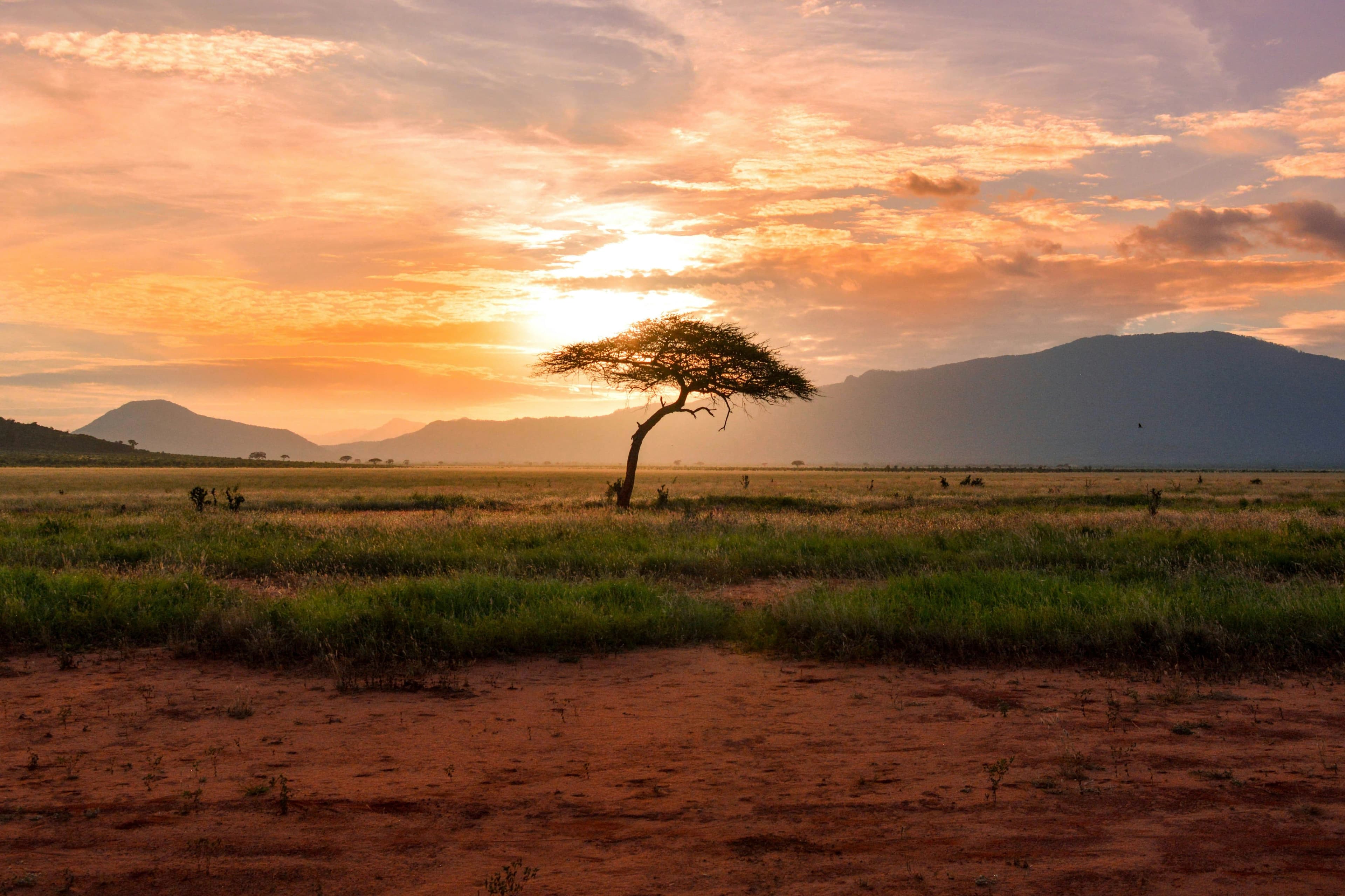 Kenya 2